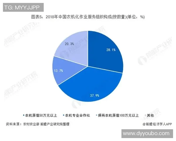 中国足球超级联赛发展现状与未来趋势分析:机遇、挑战与改革路径探讨